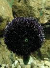 IMG-20190530-WA0022