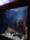 IMG-20190530-WA0023