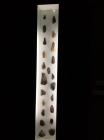 IMG-20191031-WA0018