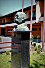 IMG_2874 Copy 9