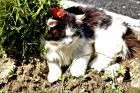 IMG_2888 Copy 1