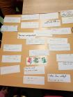 IMG-20241003-WA0011