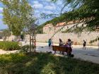 Thumbnail_IMG_8117