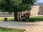 Thumbnail_IMG_8118