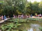 Thumbnail_IMG_8137