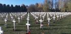 I U Mom Gradu Vukovar Svijetli