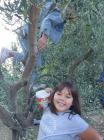 Viber_slika_2022-05-25_12-36-21-204