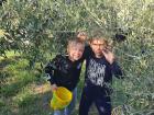 Viber_slika_2022-05-25_12-36-32-001