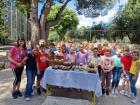 Viber_slika_2023-05-31_14-17-06-488 (Medium)