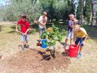 Viber_slika_2023-05-31_14-17-07-261 (Medium)