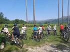 Viber_slika_2023-06-20_20-56-46-496