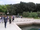 P1010026_640x479