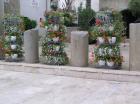 P1010087_640x479