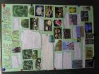 SAM_0216