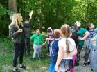IMG-45d971dd8653a4fab39543179d673cd7-V