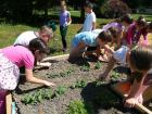 IMG-50cb8d13903e17ac891747312ab0ab84-V