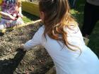 IMG-75a9580ef4ea377a4095d49667354e30-V