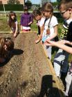 IMG-926415c944e3c963658f4ab6911ffb24-V