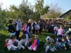 IMG-28a69899463e50e7670ee50e696b2dc7-V