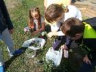 IMG-956f0d40c9778093b67df589d9d27356-V
