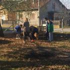 IMG-4538518e20cc95cdcfbeb54692199c9b-V