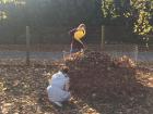 IMG-6f8b3be8b72082c631048761564b3303-V