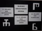 IMG-2cb5d206e8600eee368d11dac6e9c135-V