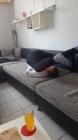 IMG-06bbf47368f7932569df8b9f565d08fc-V