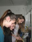Picture 017