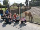 IMG-00fff159b3ff6d1df97b1e317f684532-V