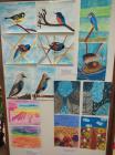 IMG-14db3d68e1c17744e8c6d407808cc45d-V