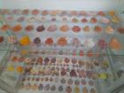 IMG-20230524-WA0009