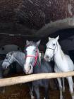 IMG-20231220-WA0005