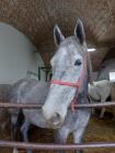IMG-20231220-WA0006