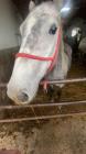 IMG-20231220-WA0035