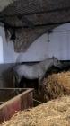 IMG-20231220-WA0036