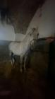 IMG-20231220-WA0038