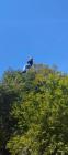 IMG-A40211a482f508065e6f73e28a19963d-V