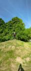 IMG-46e14539e6eb04d46d6951ddd3910a5f-V