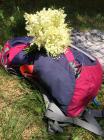 Thumbnail_IMG-3328