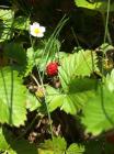 Thumbnail_IMG-3330