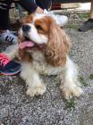 Thumbnail_IMG-3341