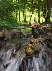 Thumbnail_IMG-3289