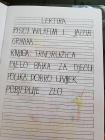 1A (2)