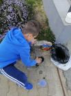 IMG-0d06e003e76c40ccd90bcdb2bf112ffb-V