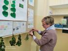 Gajeva Ljekarna (2)