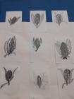 4.B (6)