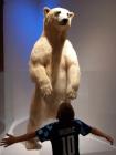IMG-20240610-WA0010