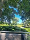 IMG-20240610-WA0012