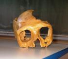 Lubanja C
